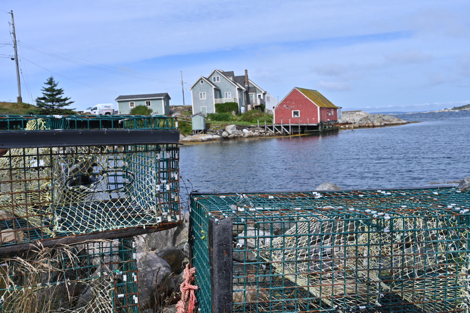 NZ7_4786