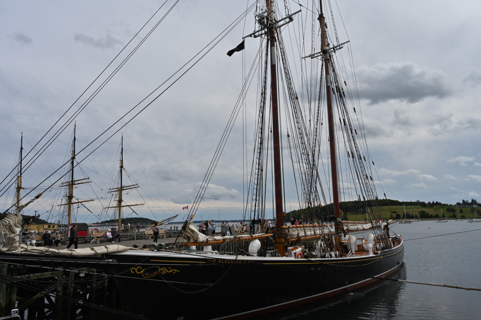 NZ7_4965