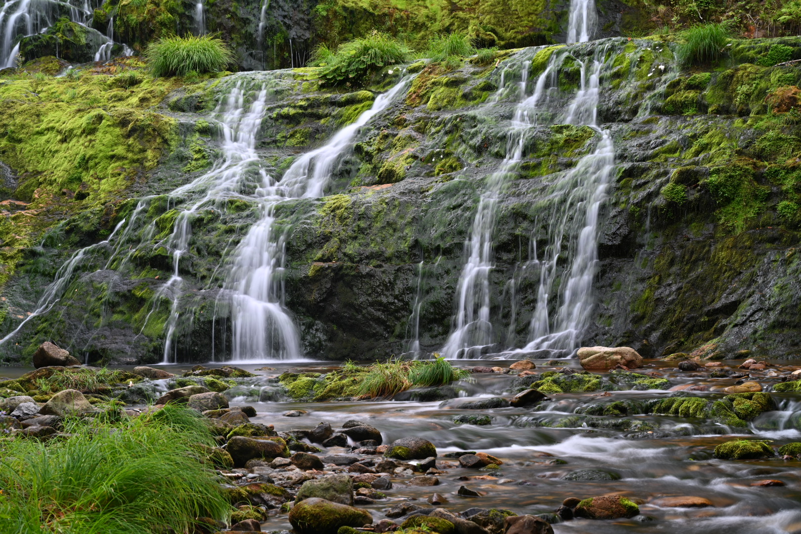 NZ7_5091