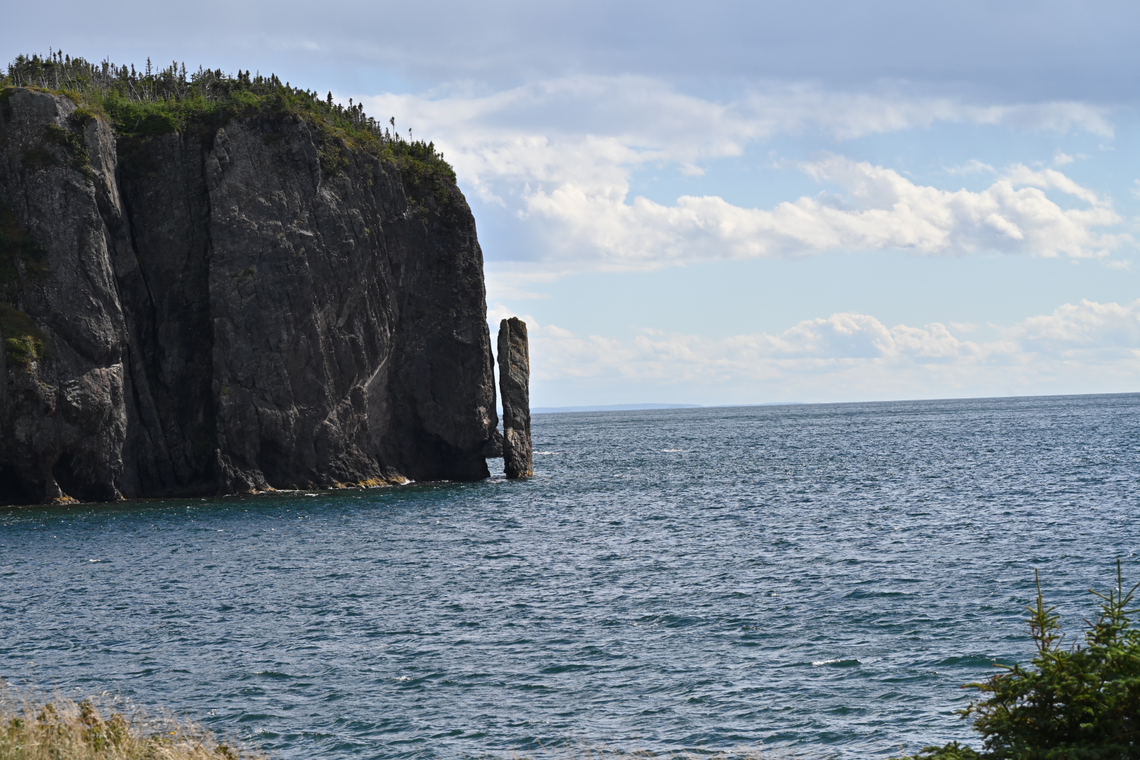 NZ7_6195