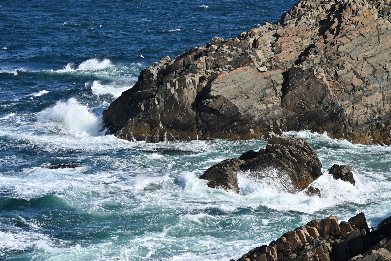 NZ7_6396
