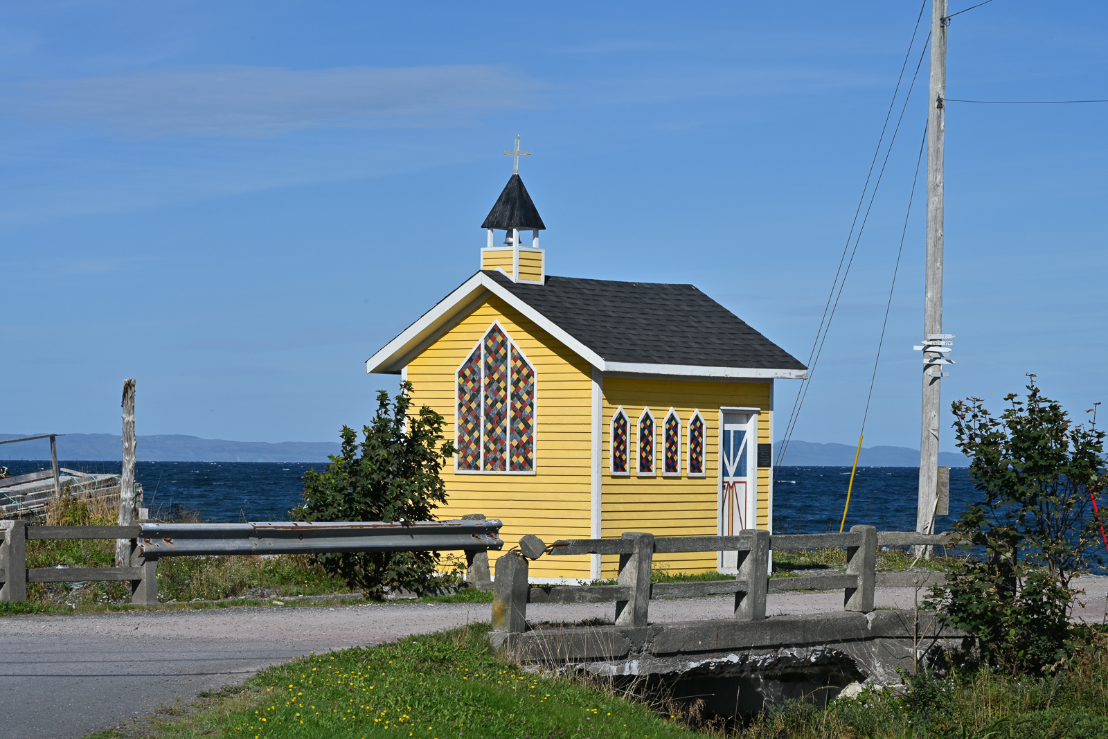 NZ7_6520