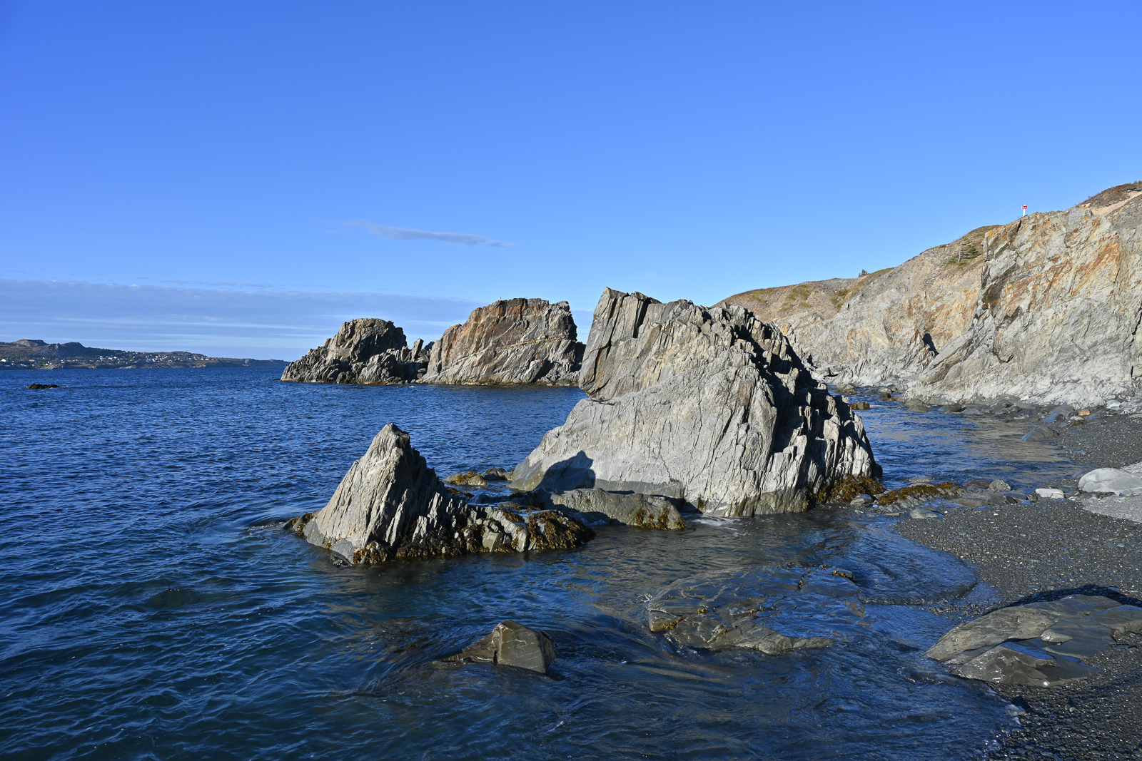 NZ7_6543