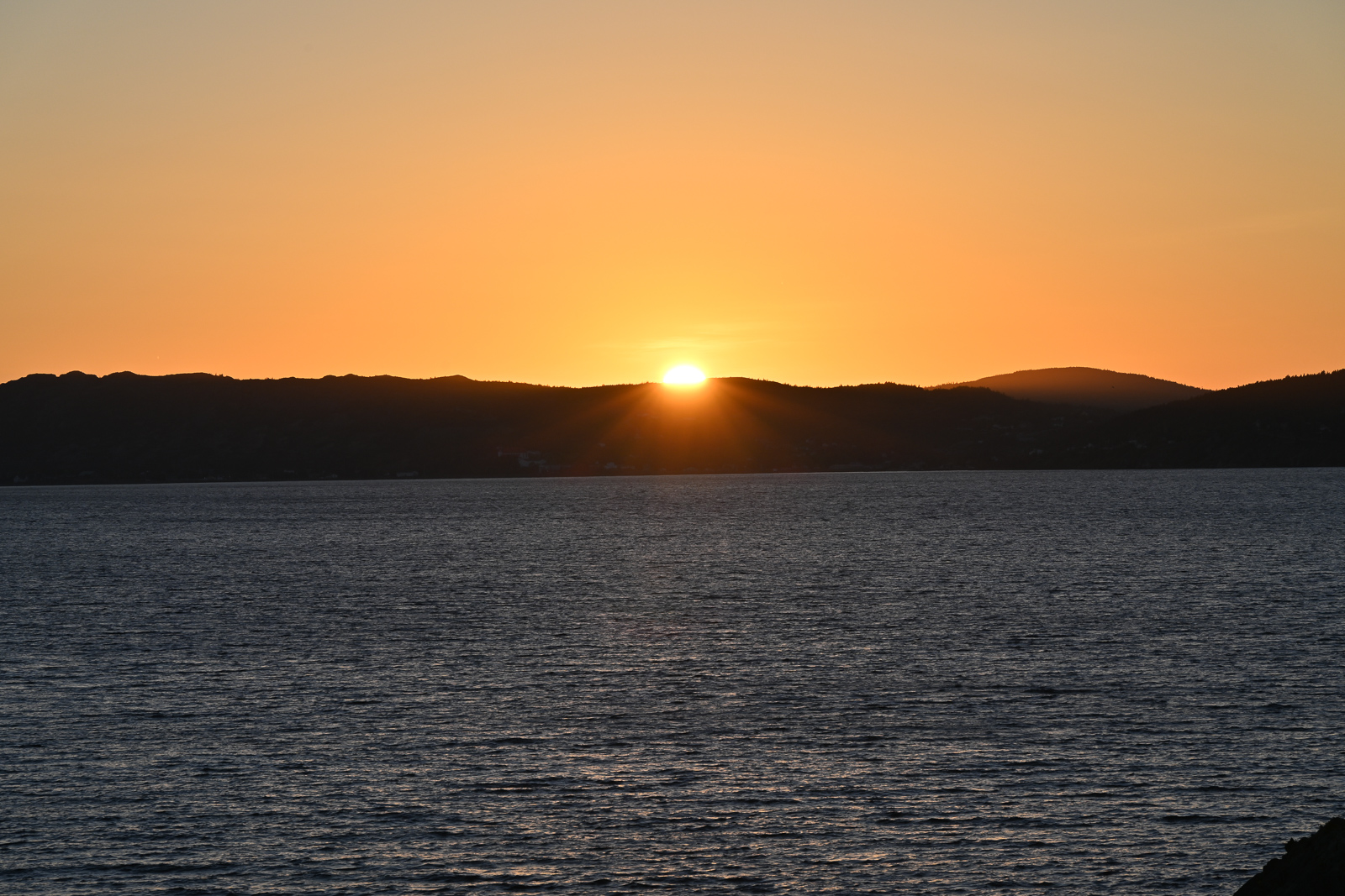 NZ7_6553