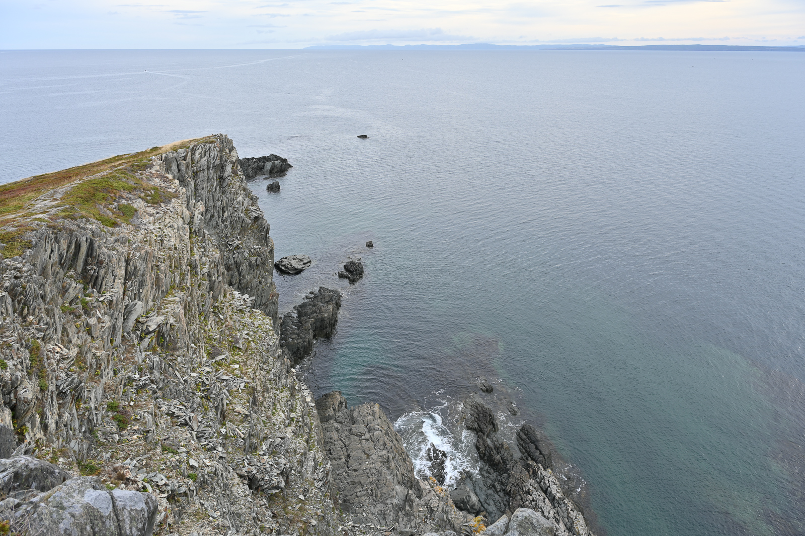 NZ7_6592