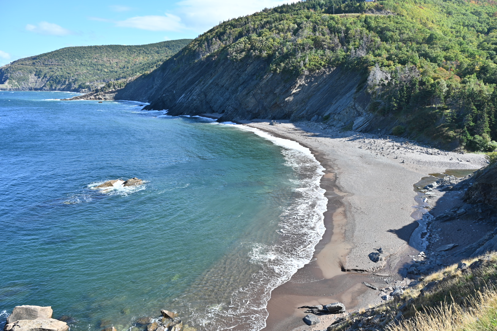 NZ7_6957