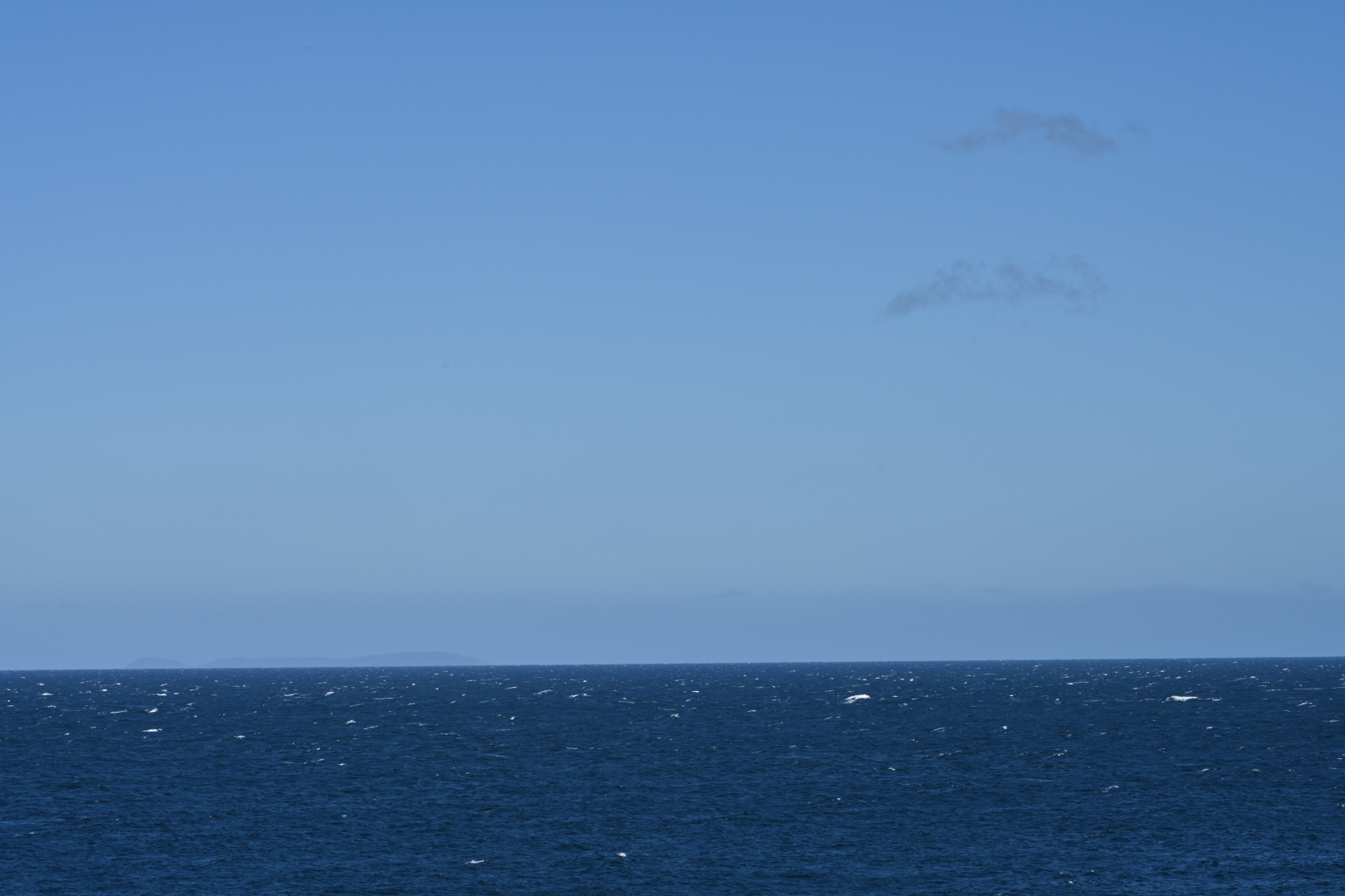 NZ7_6967