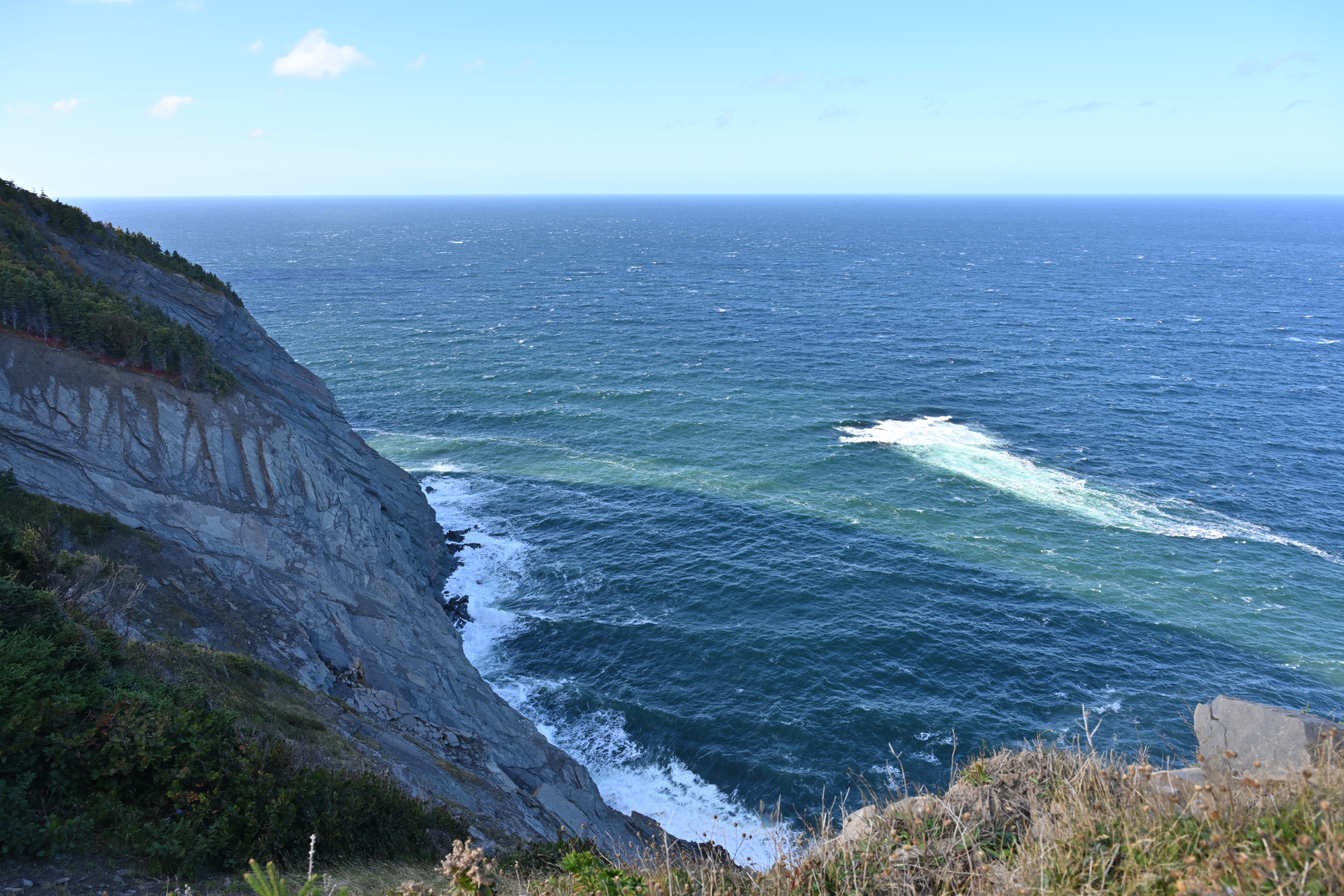 NZ7_6976
