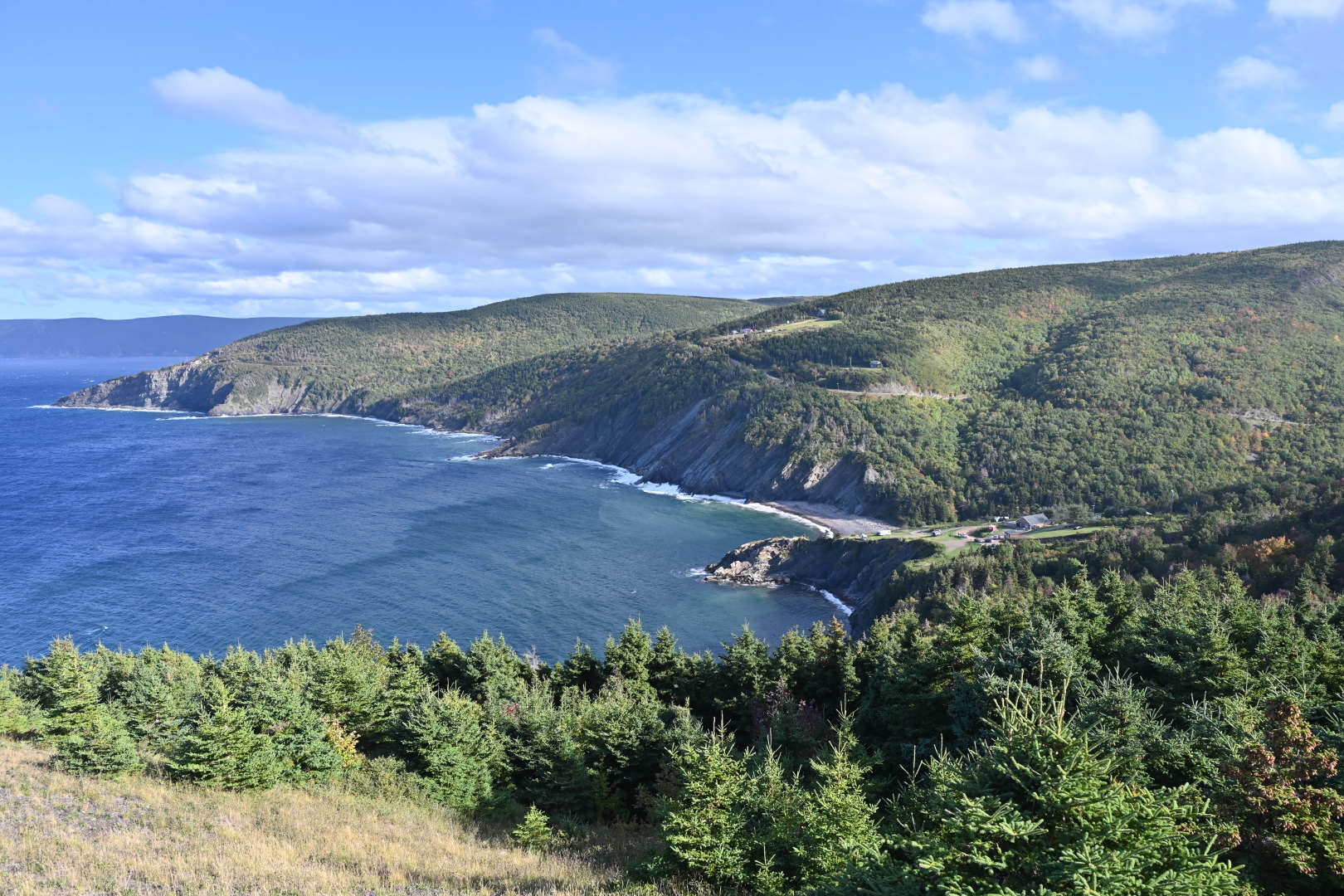 NZ7_6978