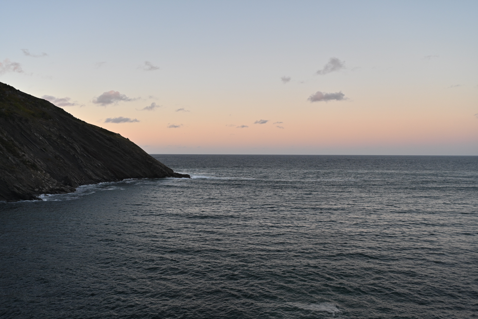 NZ7_6990
