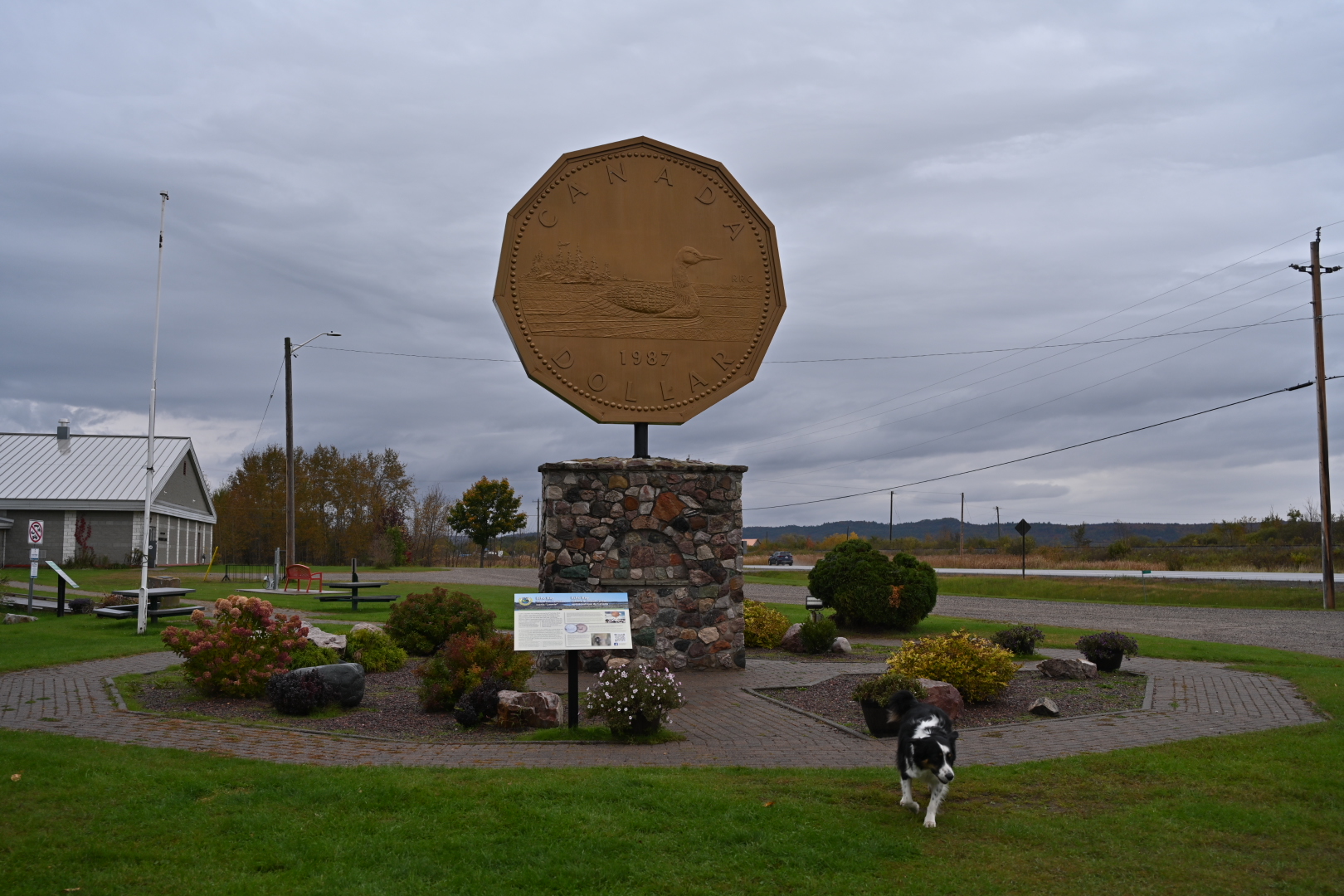 NZ7_7656