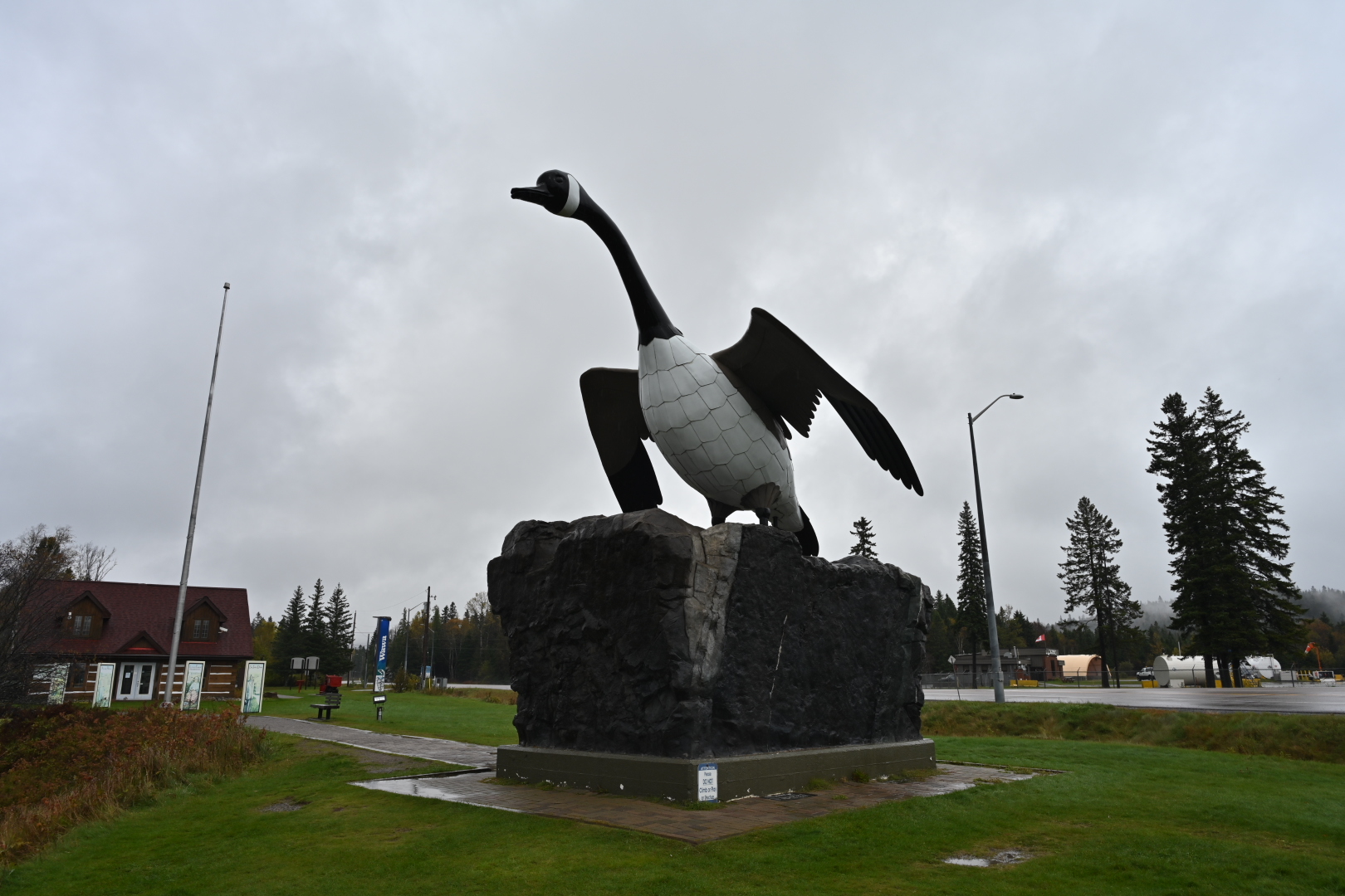 NZ7_7673